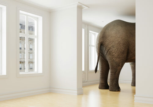 Großer Elefant in Wohnung als lustiges Platzmangel und Haustier Konzept